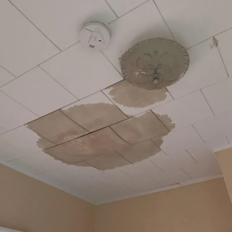 Ceiling Water Damage Repair in Jeffersonville, KY
