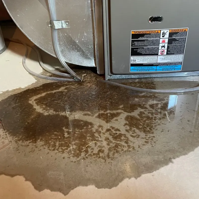 Pipe Burst and Leak Restoration in Jeffersonville, KY